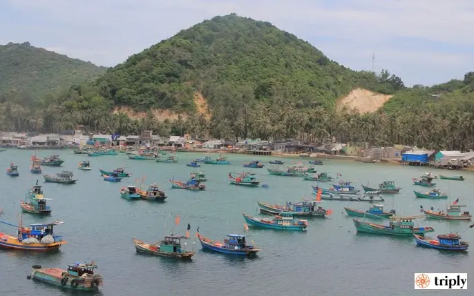 Namdu_retg Du Lịch Hòn Sơn